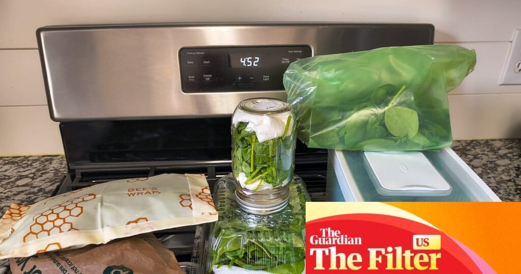 Six tips and products to keep leafy greens fresh longer, tested