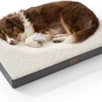 Bedsure Washable Dog Beds Large Sized Dog with Comfy Sherpa, 36x27in Grey
