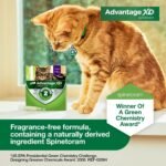 Advantage XD (Spinetoram) Large Cat Topical Flea Treatment & Prevention 1ct