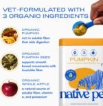 Native Pet Pumpkin for Dogs - Organic Dog Food Topper Powder - Promotes Firm Stools, Supports Digest…