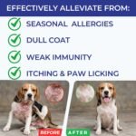 Dog Allergy Chews,Colostrum,Turmeric,Probiotics,Flaxseed, 100 Ct