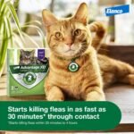 Advantage XD (Spinetoram) Large Cat Topical Flea Treatment & Prevention 1ct