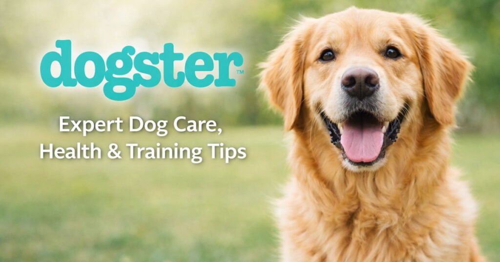7 Best Heated Dog Beds in 2026 - Review & Top Picks