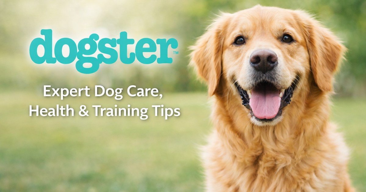7 Best Heated Dog Beds in 2026 - Review & Top Picks