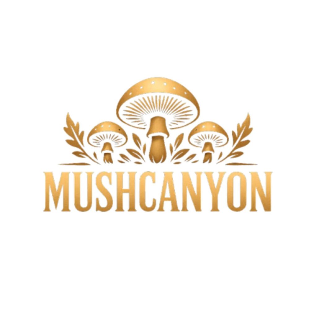 Buying Guide- Best Mushroom Supplement In 2026 lineup Mushcanyon