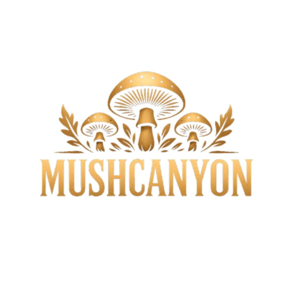 2025 Buyer’s Guide - Best Lion’s Mane Supplement — deep research, how it works, benefits, safety, and product picks why MushCanyon